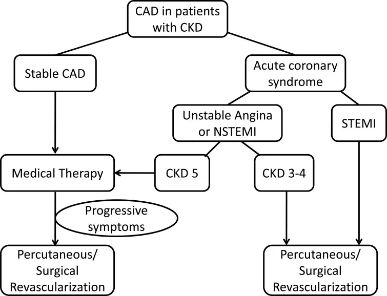 Biểu đồ phân tích kết quả điều trị của chiến lược can thiệp sớm ở bệnh nhân bệnh thận mạn giai đoạn 5 (ESRD) mắc hội chứng vành cấp, dựa trên dữ liệu từ nghiên cứu SWEDEHEART, cho thấy các kết quả lâm sàng bất lợi.