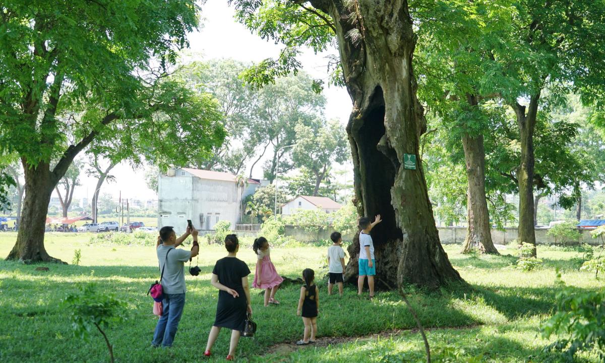 Bờ đê bao quanh ruộng muối Cà Mau được gia cố cẩn thận