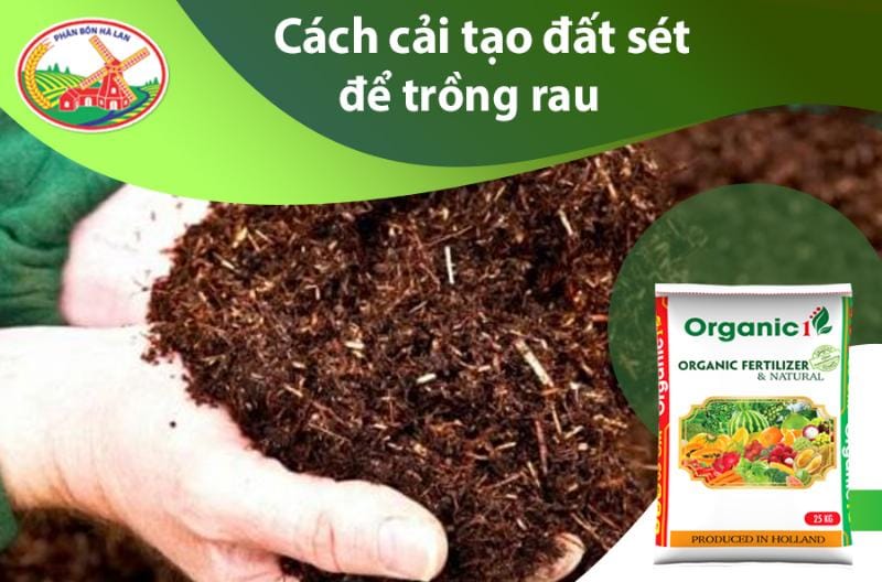Các bước cải tạo đất sét trong vườn