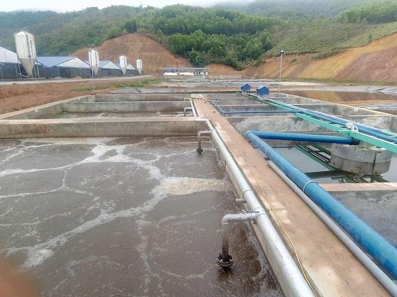 Các công nghệ xử lý nước thải chăn nuôi heo hiện đại, hiệu quả và thân thiện với môi trường