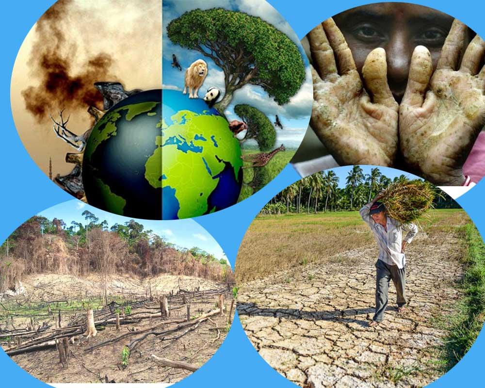 Cây cối khô héo trên cánh đồng nứt nẻ do thiếu nước, minh họa rõ nét tác động của đất khô cằn đến môi trường sống và nông nghiệp.