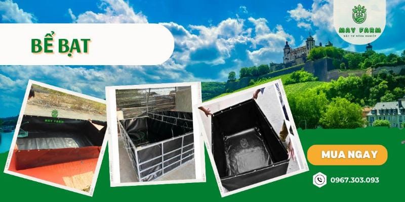 Cách làm hồ nuôi cá bằng bạt HDPE đơn giản, dễ thực hiện cho người mới bắt đầu