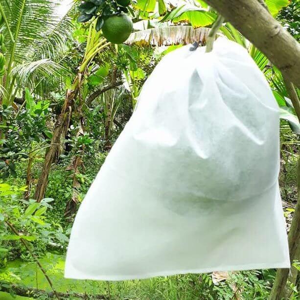 Cách Sử Dụng Túi Vải Trồng Cây Hiệu Quả Cho Vườn Nhà Bạn