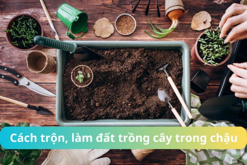 Cách tạo đất trồng cây cảnh chuẩn bị chậu và vườn cho cây xanh tốt