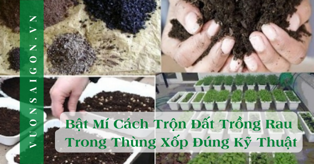 Cách trộn đất cải tạo trong thùng xốp đơn giản