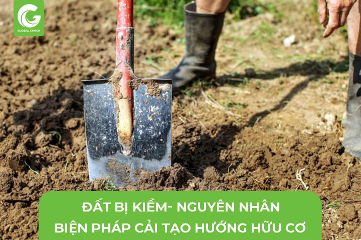 Cải tạo đất nông nghiệp bằng phân hữu cơ hoai mục