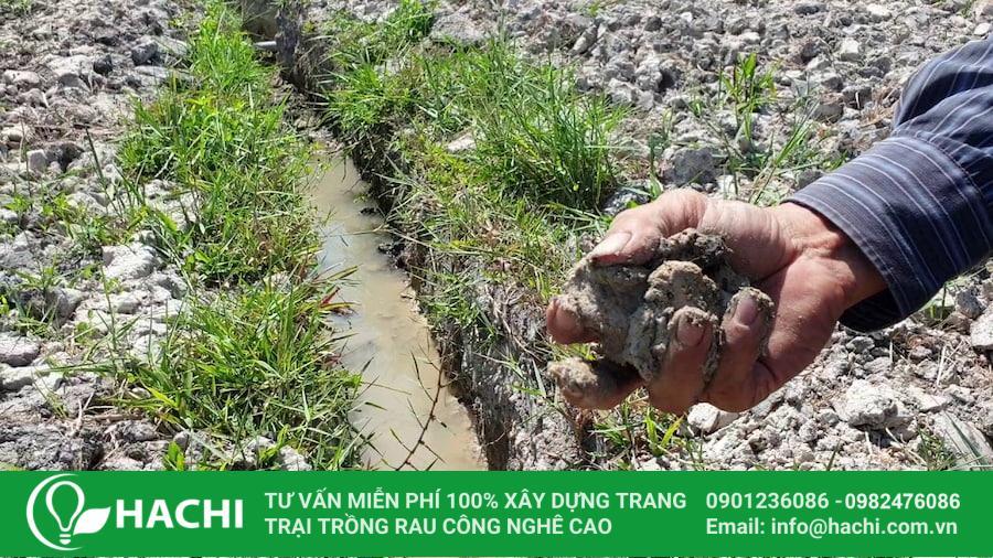 Cải tạo đất sét trồng rau bằng cách bổ sung phân hữu cơ hoai mục