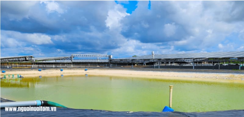 Cảnh quan khu vực nuôi trồng thủy sản công nghệ cao với các ao nuôi được quy hoạch bài bản và hệ thống hạ tầng hiện đại