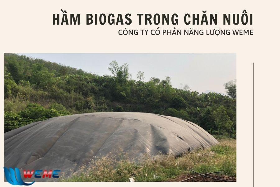 Cấu tạo bể biogas khám phá các thành phần chính và nguyên lý hoạt động