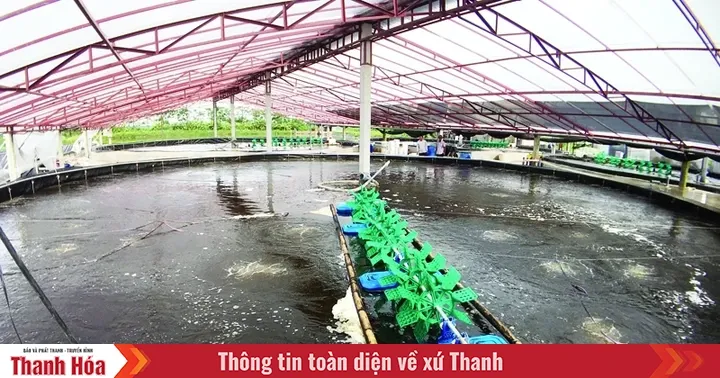 Cấu tạo và ứng dụng bạt ao cá trong xây dựng và nuôi trồng thủy sản