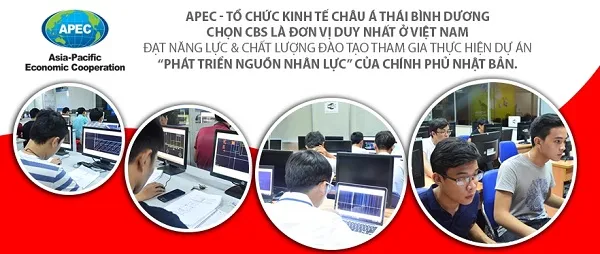 Chứng nhận chất lượng đào tạo khóa học AutoCAD cấp tốc từ tổ chức APEC.