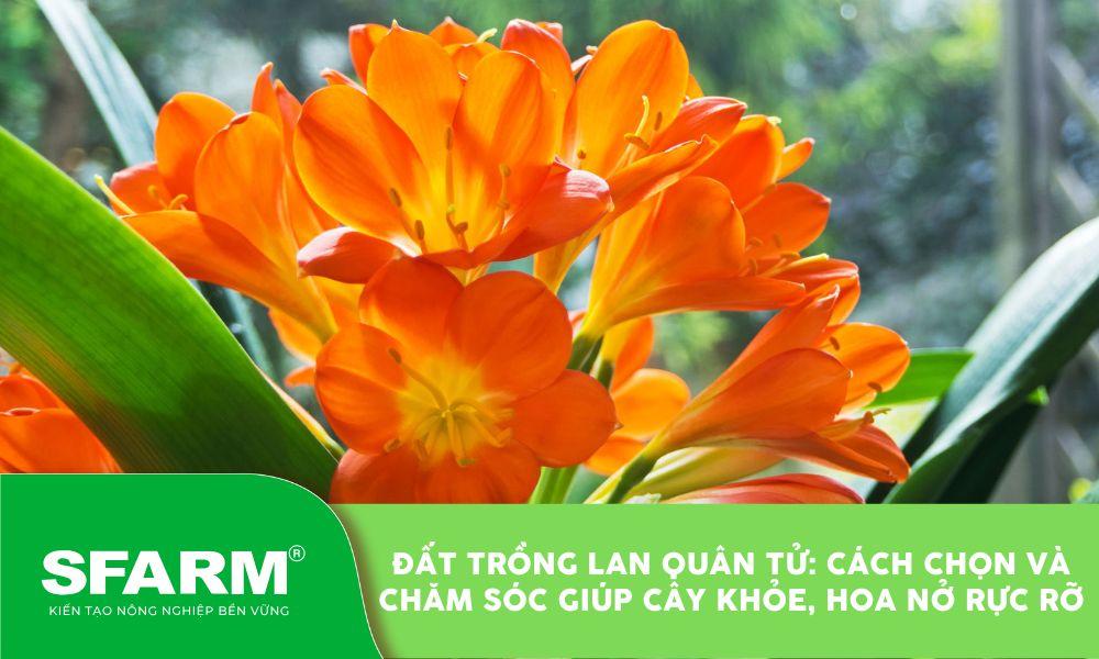 Đất trồng cây tơi xốp, giàu dinh dưỡng là nền tảng cho sự phát triển khỏe mạnh của mọi loại cây, từ cây cảnh, hoa hồng đến rau màu.