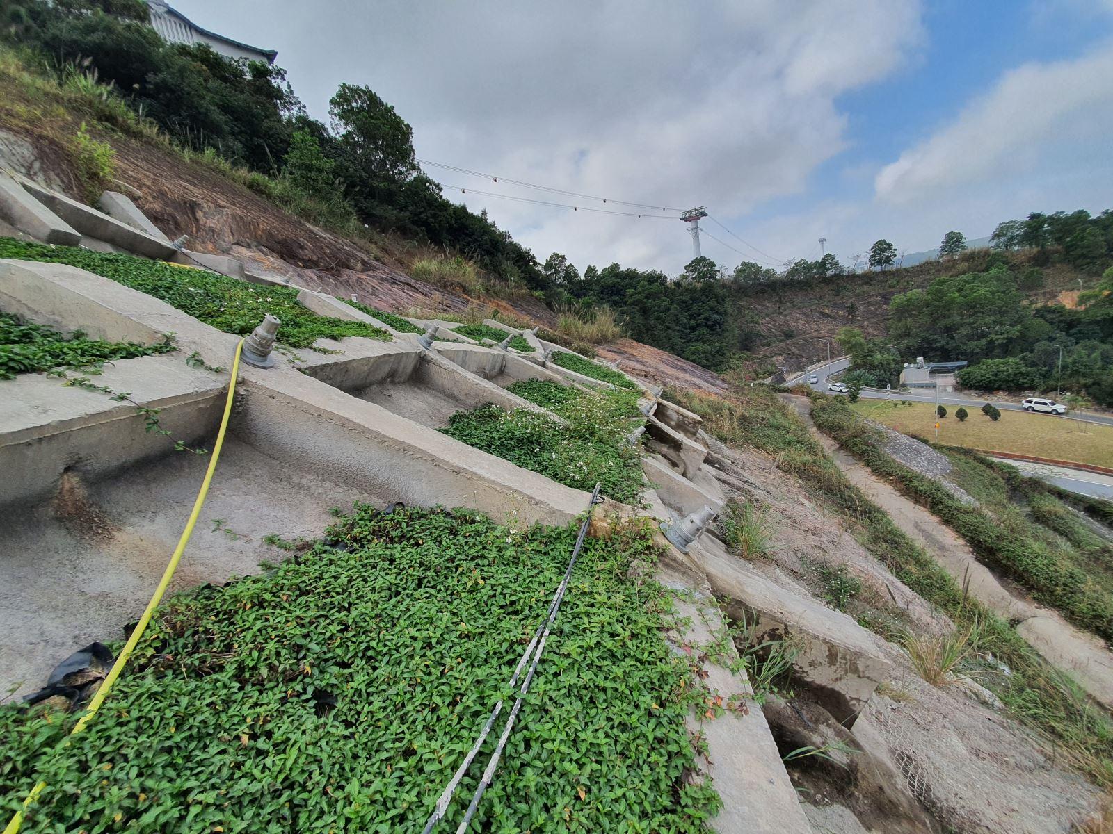 Kỹ sư địa kỹ thuật đang giám sát thi công gia cố mái dốc taluy dương trên tuyến cao tốc La Sơn Túy Loan, sử dụng lưới địa kỹ thuật và hệ thống thoát nước hiệu quả để đảm bảo an toàn.