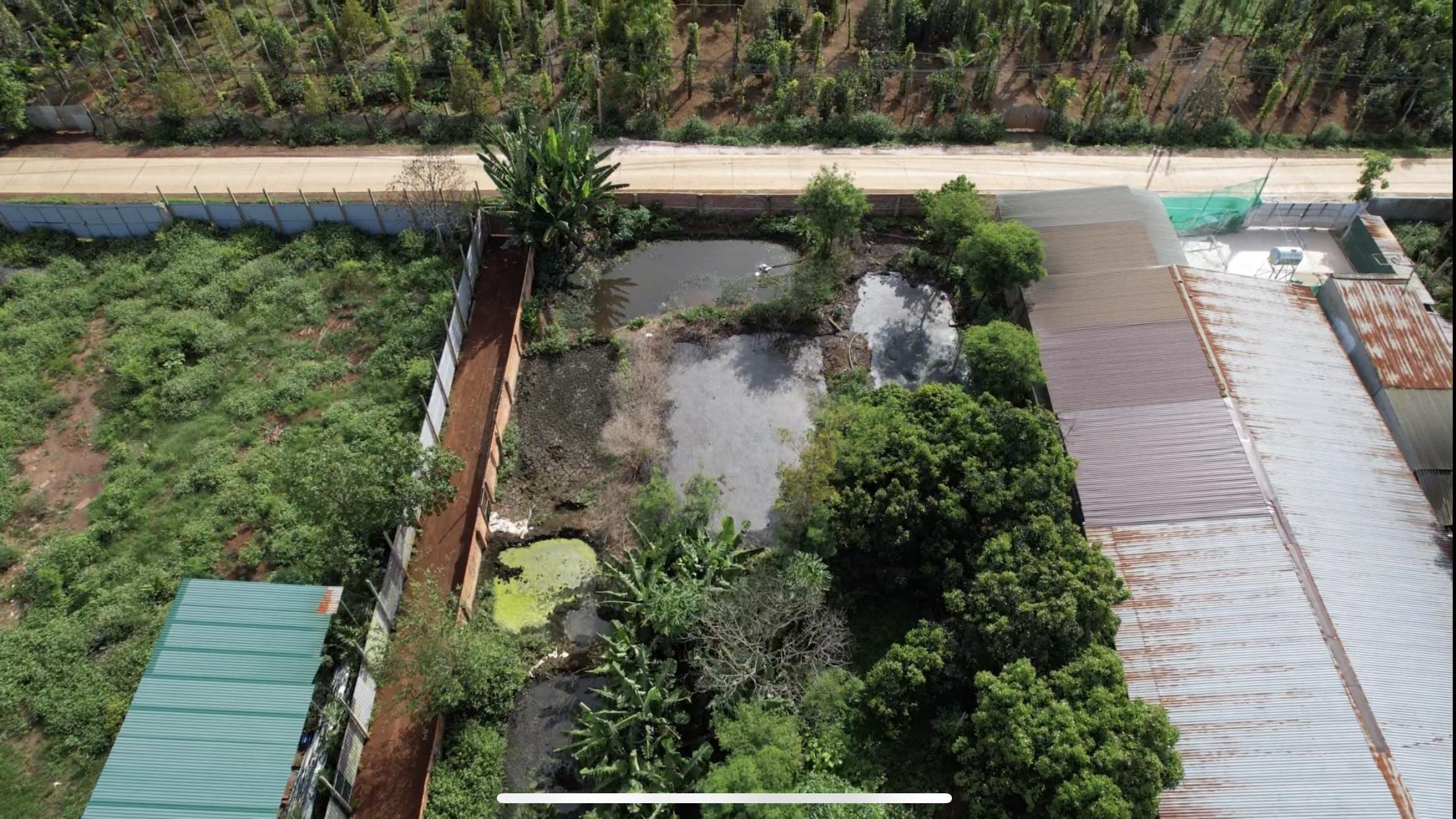 Hậu quả địa kỹ thuật nghiêm trọng từ việc xả nước thải chăn nuôi chưa qua xử lý ra môi trường