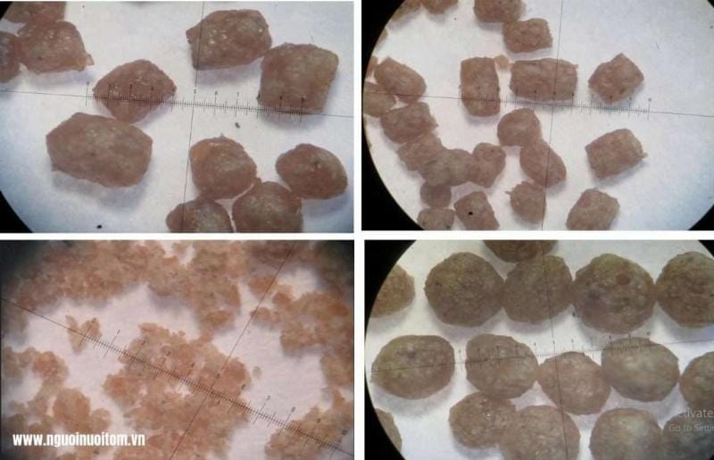 Nền tảng vững chắc cho ngành nuôi trồng thủy hải sản: Địa kỹ thuật công trình đóng vai trò then chốt trong việc đảm bảo sự ổn định và bền vững của hạ tầng, từ đó nâng cao hiệu quả sản xuất. Ảnh minh họa một khu vực nuôi trồng thủy hải sản rộng lớn, màu mỡ, với hạ tầng được quy hoạch khoa học, cho thấy sự kết hợp hài hòa giữa tự nhiên và kỹ thuật.