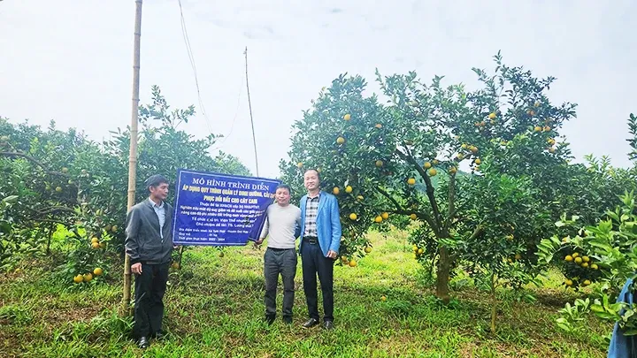 Khảo sát đất vườn để xác định phương pháp cải tạo phù hợp