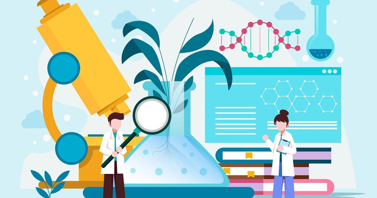 Khảo sát địa kỹ thuật công trình là bước đầu tiên quan trọng để hiểu rõ đặc điểm của nền đất trước khi xây dựng công trình