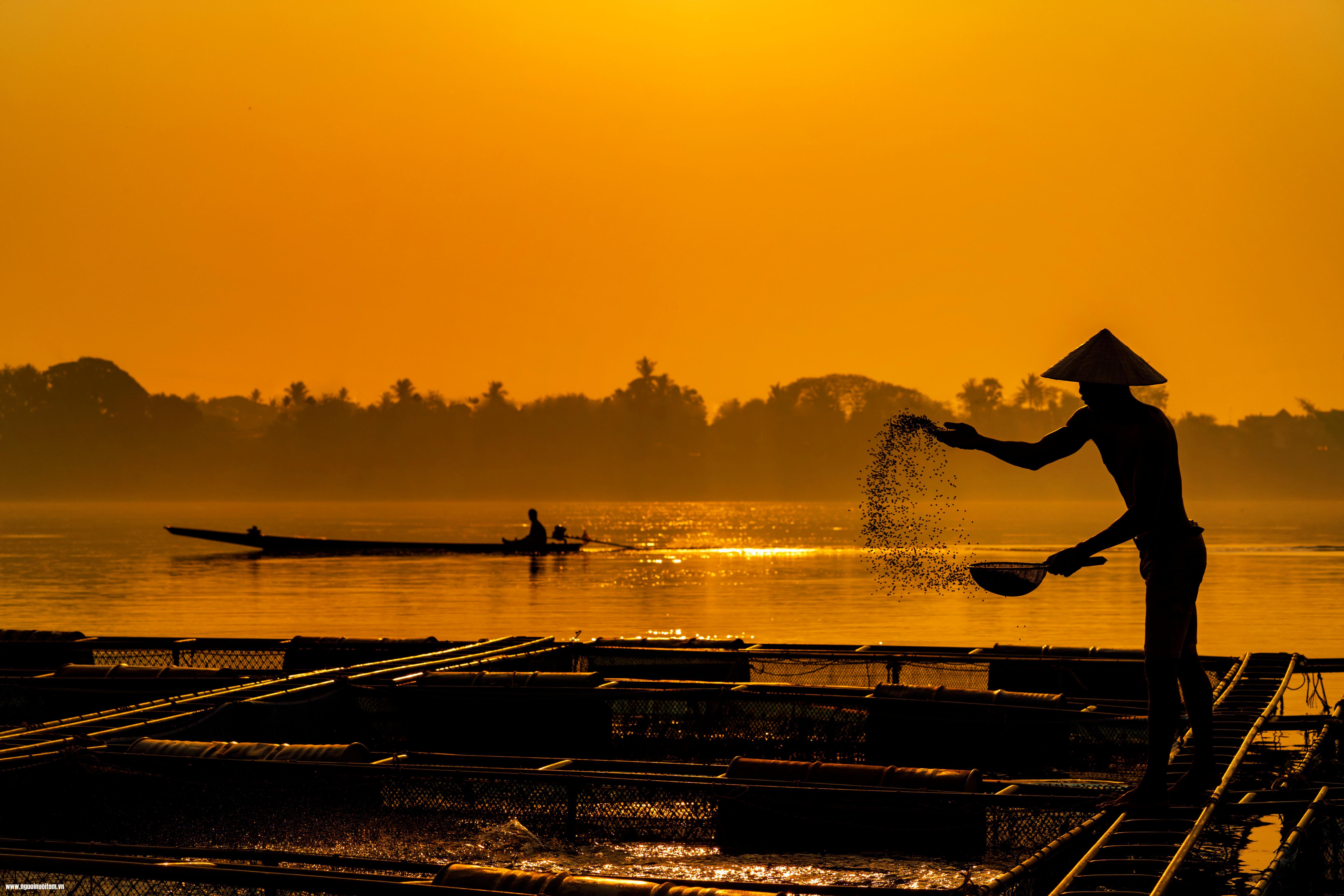 Kiến thức nền tảng về sinh học, hóa học và dinh dưỡng là cốt lõi khi học nuôi trồng thủy sản