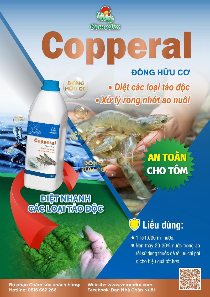 Quản lý chất lượng nước là yếu tố then chốt trong kỹ thuật nuôi trồng thủy sản để đảm bảo sức khỏe vật nuôi