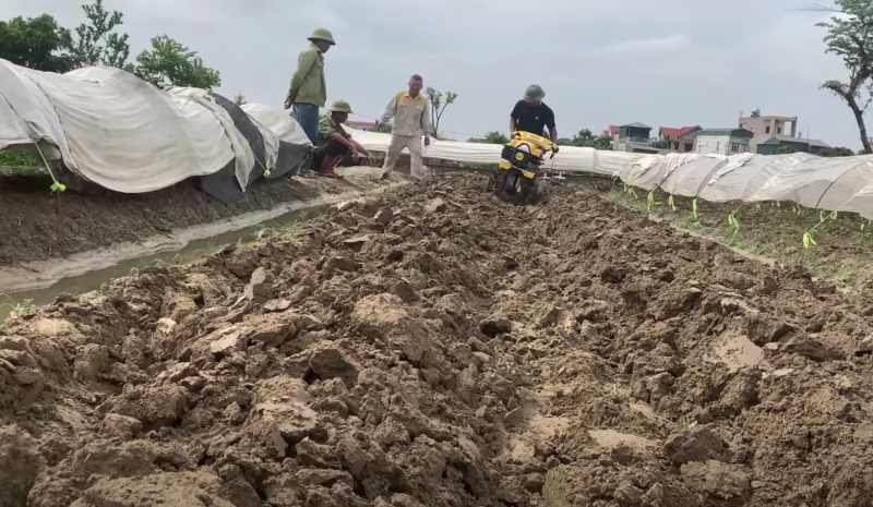 Người nông dân đang sử dụng máy xới đất để làm tơi xốp đất trồng