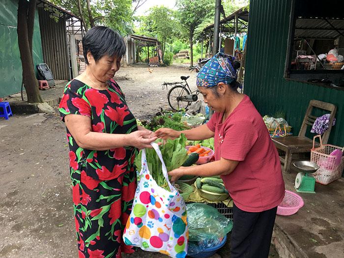 Lợi ích của túi vải trồng cây cho môi trường và sức khỏe người dùng