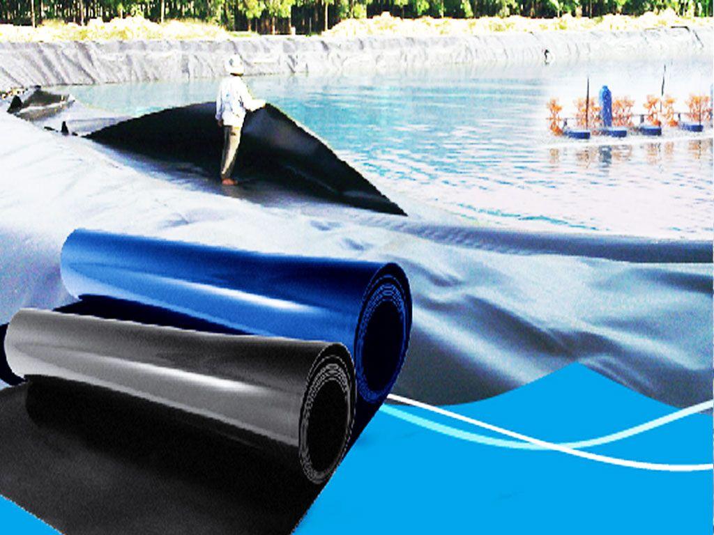 Bạt HDPE lót đáy hồ nuôi tôm hiệu quả