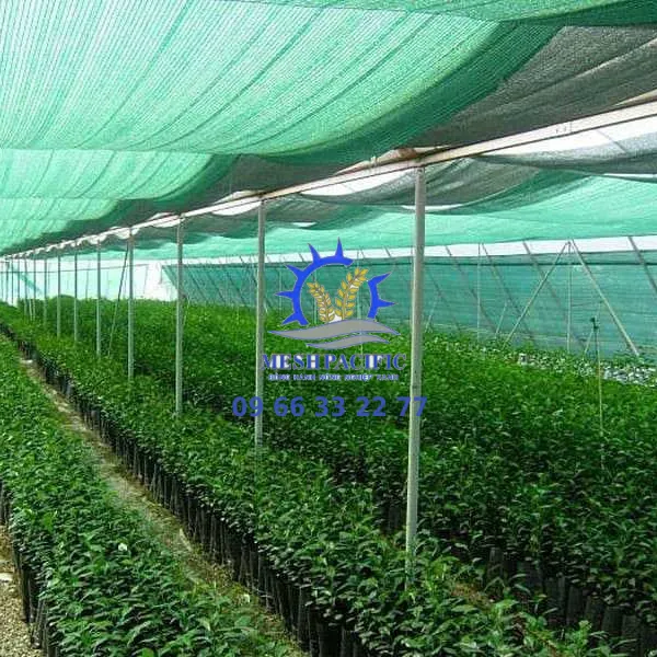 Lựa chọn giải pháp bảo vệ bạt HDPE phù hợp với công trình