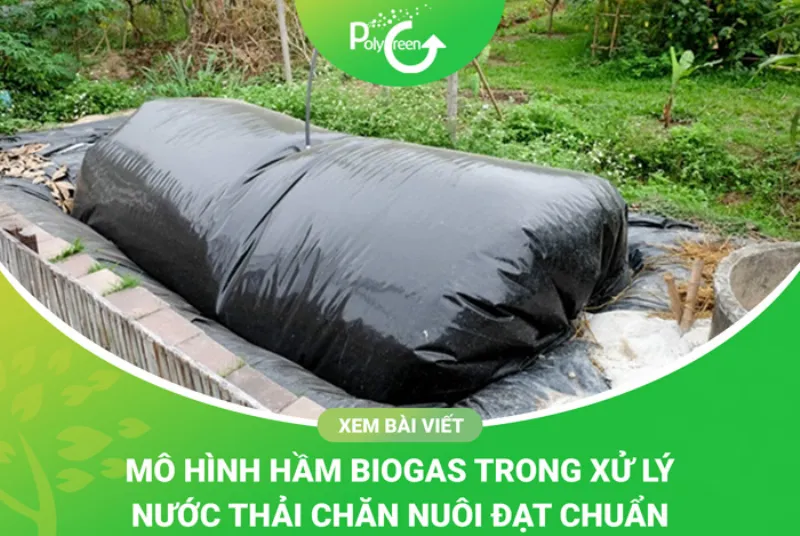 Sơ đồ thiết kế bể bioga bằng nhựa cho hộ gia đình