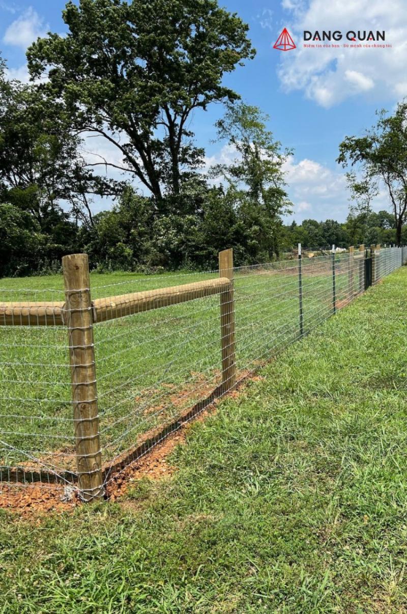 Hàng rào lưới B40 bao quanh khu vực công nông trại