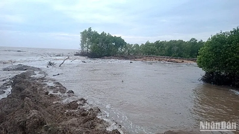 Màng HDPE và các yêu cầu bảo vệ môi trường sống địa phương