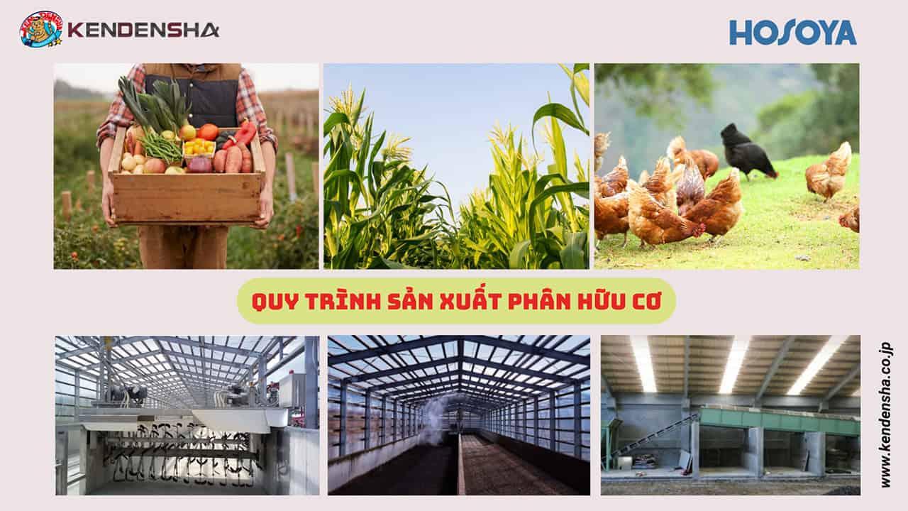 Môi trường phân hủy khí biogas với các vi sinh vật hoạt động trong bể ủ kín, có hệ thống sục khí và kiểm soát nhiệt độ, mô phỏng quá trình sản xuất năng lượng tái tạo từ chất thải hữu cơ