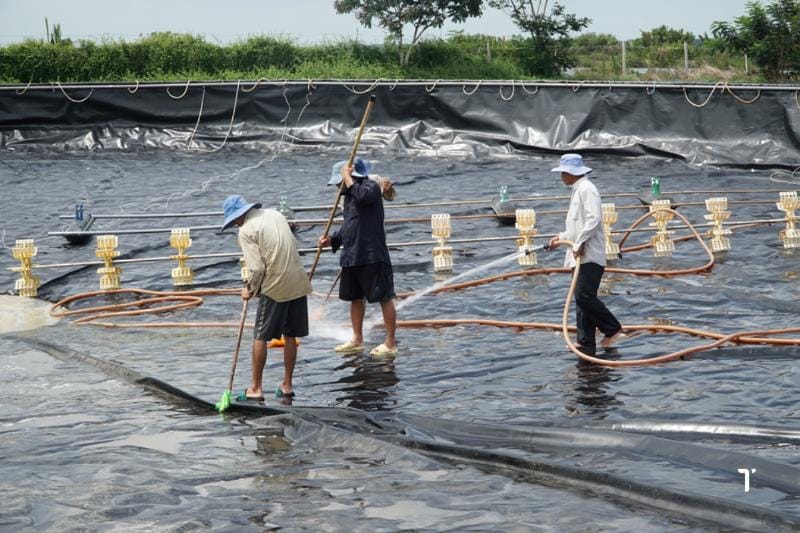 Nền móng vững chắc cho ao nuôi thủy sản là yếu tố quan trọng quyết định sự thành công