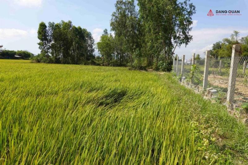 Móng bê tông kiên cố được xây dựng cho cột hàng rào, đảm bảo sự ổn định lâu dài cho bức tường rào B40