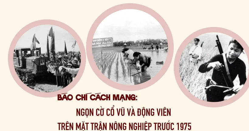 Nền móng vững chắc cho ruộng muối đầm vua