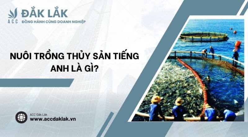 nuôi trồng thủy sản tiếng Anh là gì và tầm quan trọng của ngành nuôi trồng thủy sản