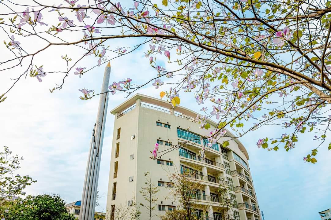 Ong dia ky thuat duoc dat tren may thi nghiem va dap mo phong trong phong thi nghiem dia ky thuat xay dung