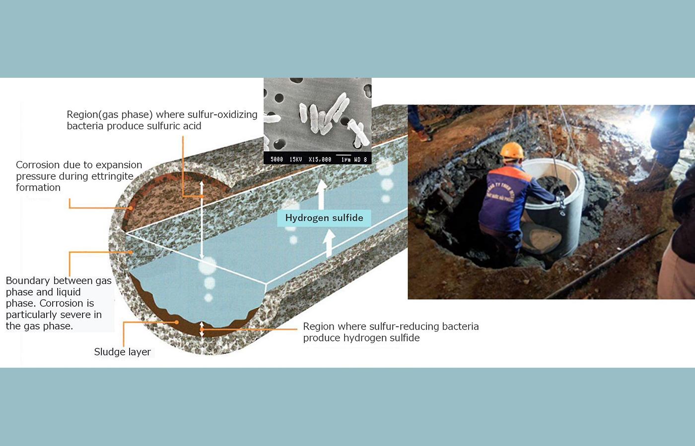 Ống thoát nước kháng vi sinh vật trong công trình đô thị