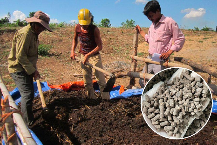 Phương pháp cải tạo đất trồng rau bằng phân hữu cơ hoai mục