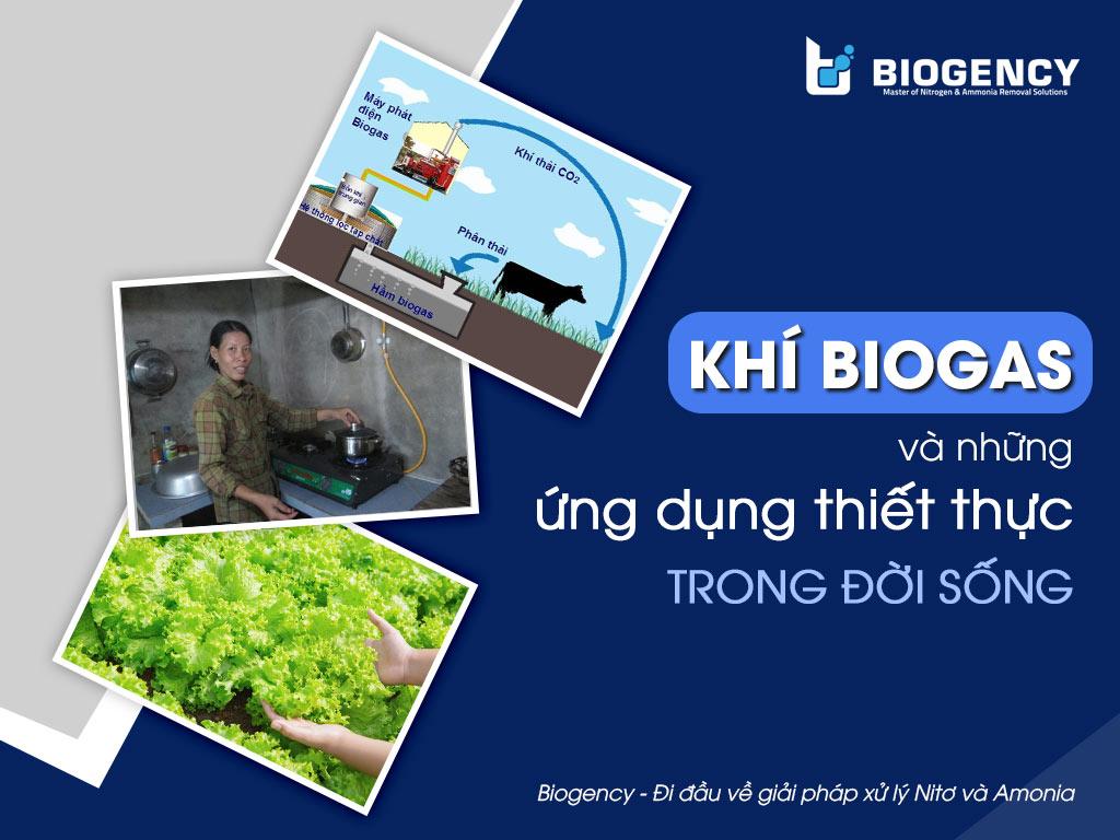 Thành phần khí trong hầm biogas và ứng dụng quan trọng trong đời sống và sản xuất nông nghiệp.