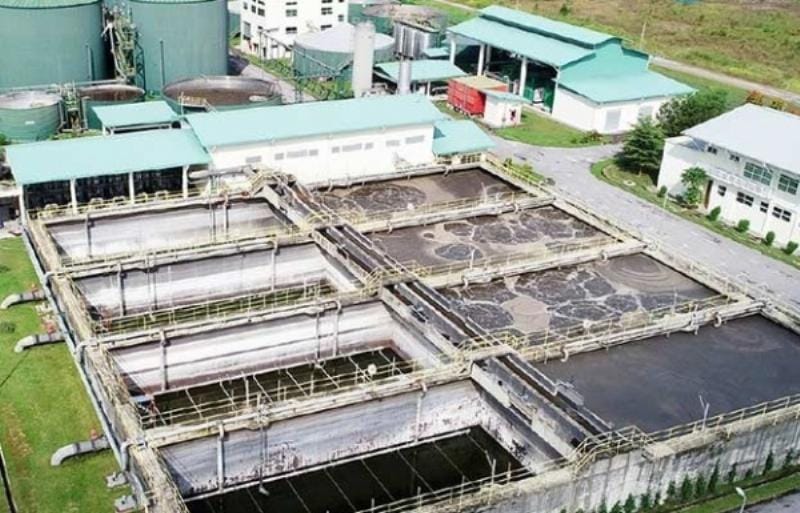 Thành phần phức tạp của nước thải chăn nuôi và tác động môi trường trực tiếp tới đất và nước ngầm