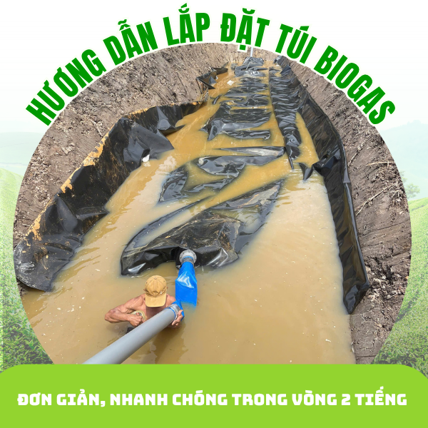 hình ảnh thi công hệ thống hầm biogas chất lượng cao, nhấn mạnh sự cẩn thận trong từng bước để đảm bảo độ bền vững và hiệu quả lâu dài