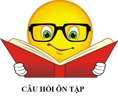 Ống địa kỹ thuật đang được thi công, kết nối với nhau tạo thành một cấu trúc đê bao vững chắc ven biển