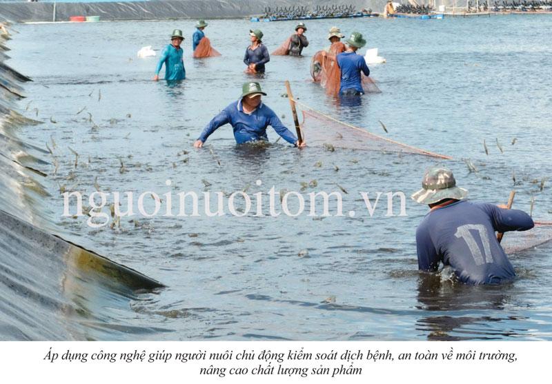 Thiết kế hồ kính nuôi tôm càng xanh với hệ thống xử lý nước tiên tiến