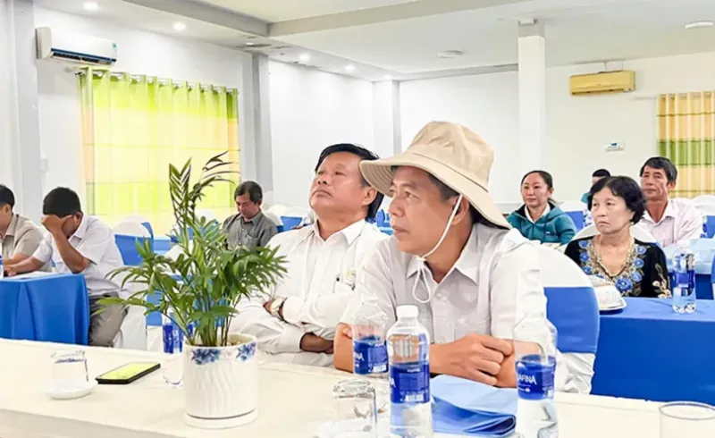 Thiết kế mô hình nuôi trồng thủy sản bền vững luôn cần đến sự tư vấn của chuyên gia địa kỹ thuật để đảm bảo nền móng vững chắc