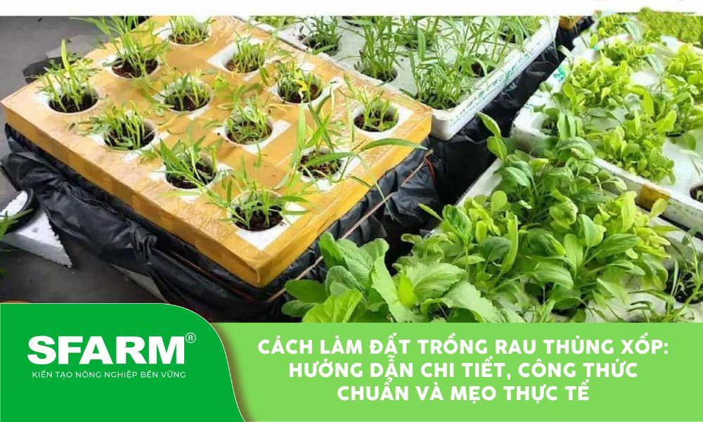 Trộn hỗn hợp đất trồng rau trong thùng xốp để đảm bảo độ tơi xốp và dinh dưỡng