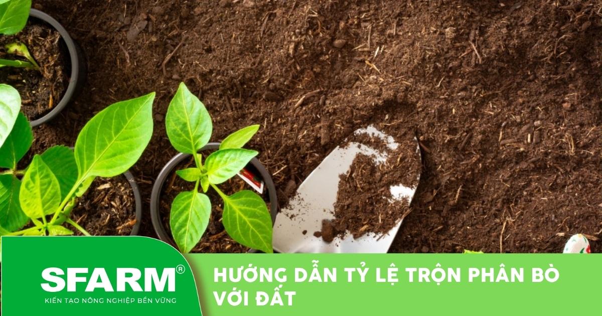 Người làm vườn đang trộn đều phân ủ hoai mục với đất, tạo thành một hỗn hợp giàu dinh dưỡng cho cây hoa hồng
