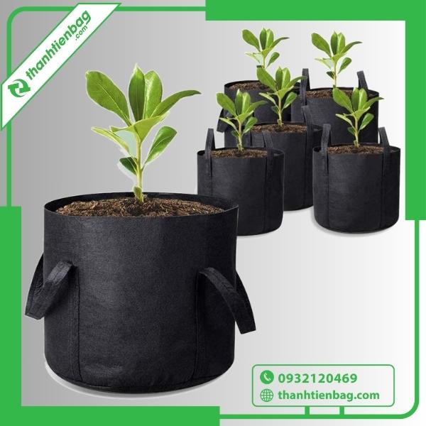 Tư vấn chọn mua túi vải trồng cây phù hợp với từng loại cây trồng