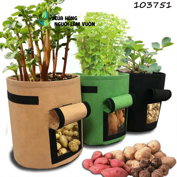 Túi vải trồng cây trang trí vườn nhà đẹp