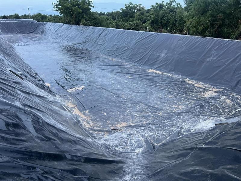 Tấm bạt HDPE 3mm đang được thi công để lót đáy một ao nuôi tôm lớn, tạo bề mặt láng mịn và chống thấm hiệu quả
