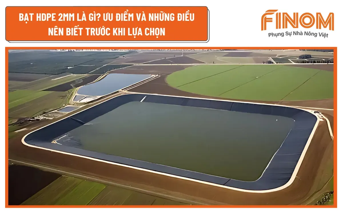 Ứng dụng bạt HDPE chống thấm cho kênh thủy lợi, đập nước, giữ nước hiệu quả